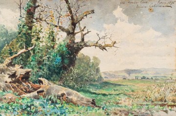  Coleman Oil Painting - Campagna romana Enrico Coleman genre